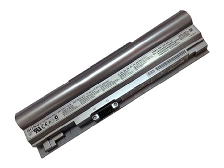SONY VGP-BPS14/B Batterie ordinateur portable
